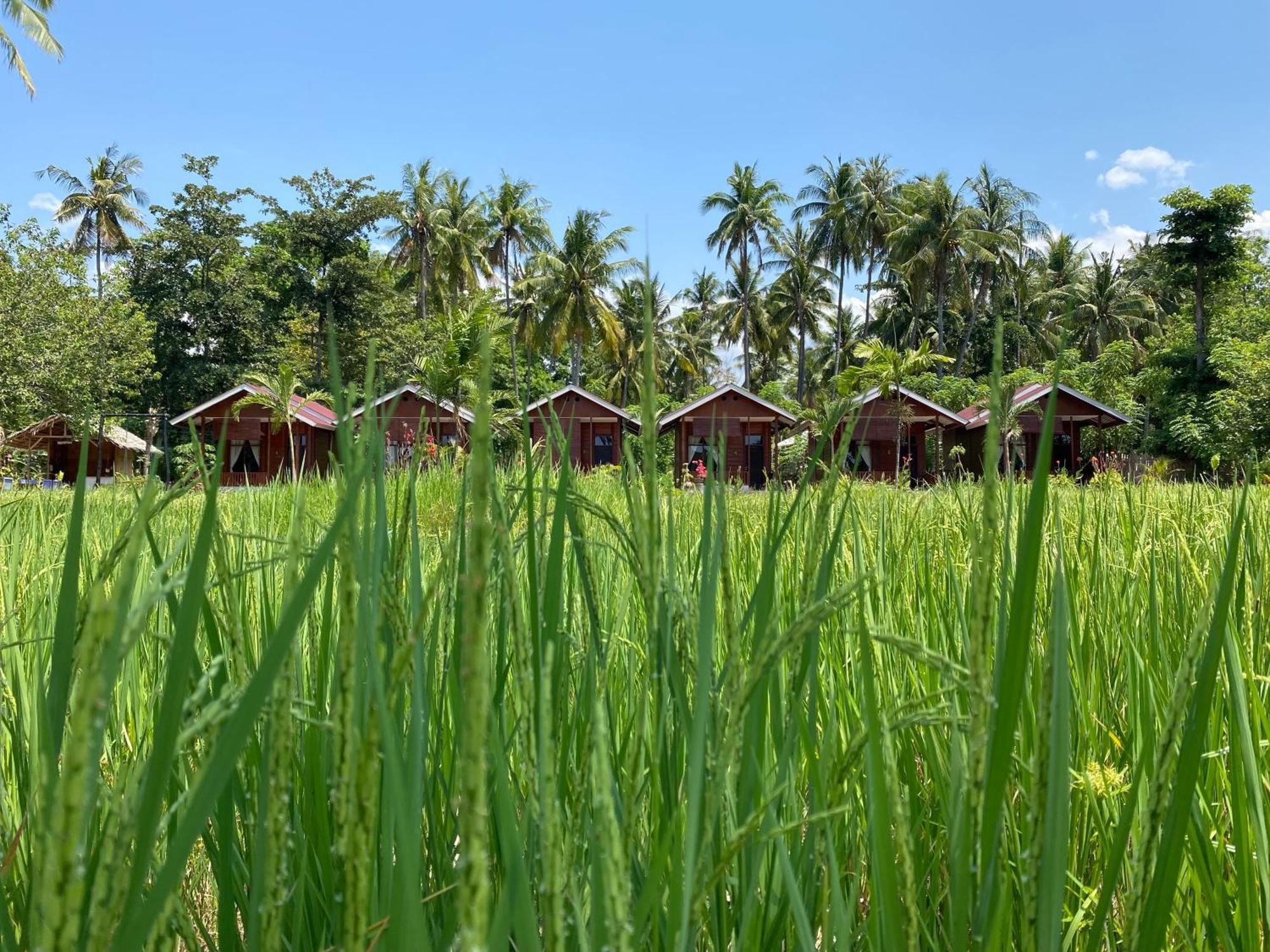 Riung Nuna Bungalows מראה חיצוני תמונה